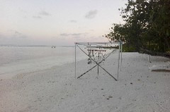    Mareste fotografia 

WeDive - Maldive 2017