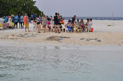    Mareste fotografia 

WeDive - Maldive 2017