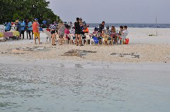    Mareste fotografia 

WeDive - Maldive-2017