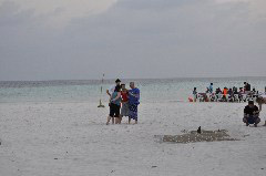    Mareste fotografia 

WeDive - Maldive 2017