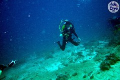    Mareste fotografia 

WeDive - Maldive-2019