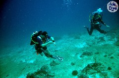    Mareste fotografia 

WeDive - Maldive-2019