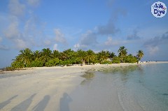    Mareste fotografia 

WeDive - Maldive-2019