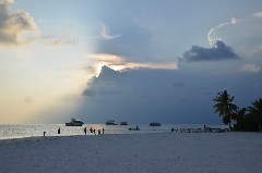    Mareste fotografia 

WeDive - Maldive-2019