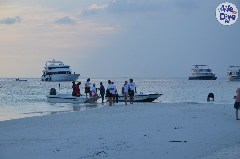    Mareste fotografia 

WeDive - Maldive-2019