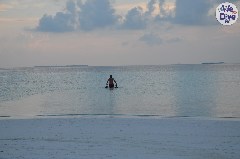    Mareste fotografia 

WeDive - Maldive-2019