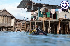    Mareste fotografia 

WeDive - RajaAmpat-2020