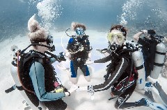    Mareste fotografia 

WeDive - Scuba-Girls