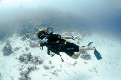    Mareste fotografia 

WeDive - Scuba-Girls