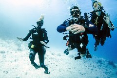    Mareste fotografia 

WeDive - Scuba-Girls