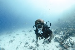    Mareste fotografia 

WeDive - Scuba-Girls