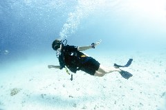    Mareste fotografia 

WeDive - Scuba-Girls