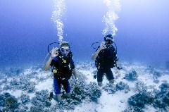    Mareste fotografia 

WeDive - Scuba-Girls