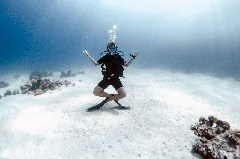    Mareste fotografia 

WeDive - Scuba-Girls