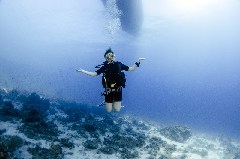    Mareste fotografia 

WeDive - Scuba-Girls