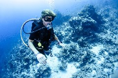    Mareste fotografia 

WeDive - Scuba-Girls