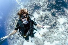    Mareste fotografia 

WeDive - Scuba-Girls