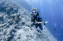    Mareste fotografia 

WeDive - Scuba-Girls