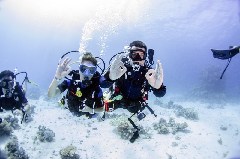    Mareste fotografia 

WeDive - Scuba-Girls