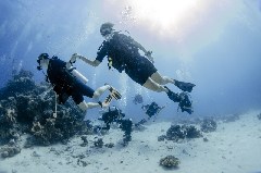    Mareste fotografia 

WeDive - Scuba-Girls