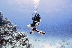    Mareste fotografia 

WeDive - Scuba-Girls