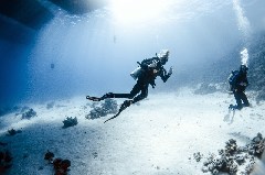    Mareste fotografia 

WeDive - Scuba-Girls