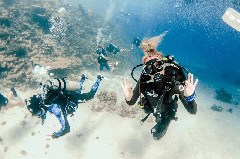    Mareste fotografia 

WeDive - Scuba-Girls