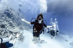    Mareste fotografia 

WeDive - Scuba-Girls