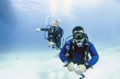    Mareste fotografia 

WeDive - Scuba-Girls