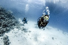    Mareste fotografia 

WeDive - Scuba-Girls