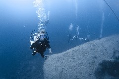    Mareste fotografia 

WeDive - Scuba-Girls