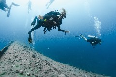    Mareste fotografia 

WeDive - Scuba-Girls