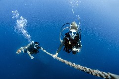    Mareste fotografia 

WeDive - Scuba-Girls