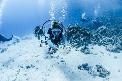    Mareste fotografia 

WeDive - Scuba-Girls