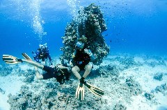    Mareste fotografia 

WeDive - Scuba-Girls