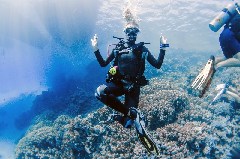    Mareste fotografia 

WeDive - Scuba-Girls