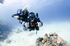    Mareste fotografia 

WeDive - Scuba-Girls