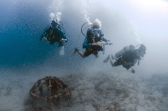    Mareste fotografia 

WeDive - Scuba-Girls