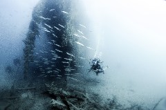    Mareste fotografia 

WeDive - Scuba-Girls