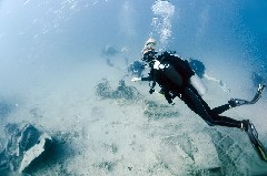    Mareste fotografia 

WeDive - Scuba-Girls