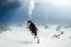    Mareste fotografia 

WeDive - Scuba-Girls