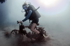    Mareste fotografia 

WeDive - Scuba-Girls