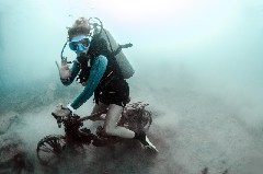    Mareste fotografia 

WeDive - Scuba-Girls