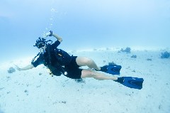    Mareste fotografia 

WeDive - Scuba-Girls