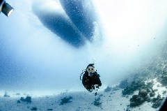    Mareste fotografia 

WeDive - Scuba-Girls