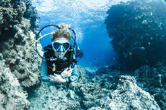    Mareste fotografia 

WeDive - Scuba-Girls