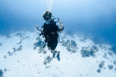    Mareste fotografia 

WeDive - Scuba-Girls