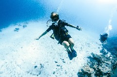    Mareste fotografia 

WeDive - Scuba-Girls