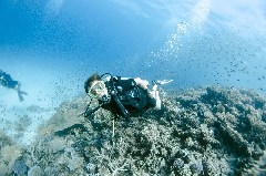    Mareste fotografia 

WeDive - Scuba-Girls