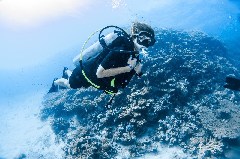    Mareste fotografia 

WeDive - Scuba-Girls